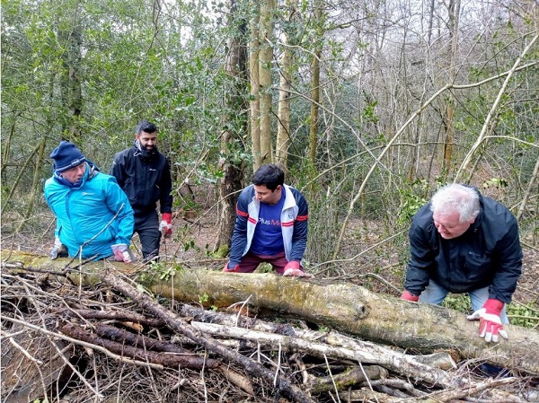 300,000 trees UK s